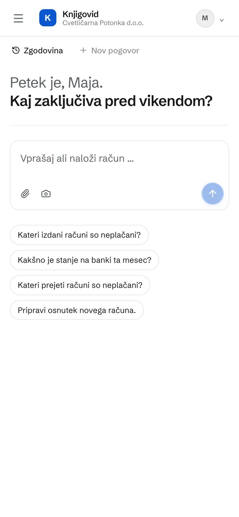 Asistent na telefonu. Polje za vprašanje in gumb za fotografiranje računa.